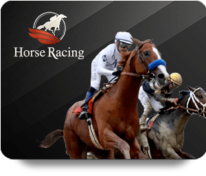 BK8 Casino Royal Offers Unmatched Bonuses and Promotions